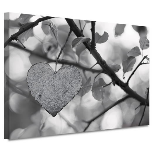 Hart van natuur in monochrome tinten canvas