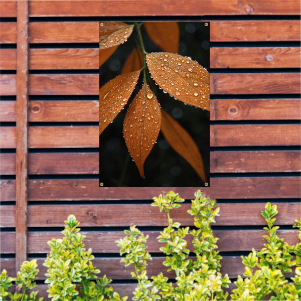 Dauwdruppels op Oranje Zomerbladeren tuinposter