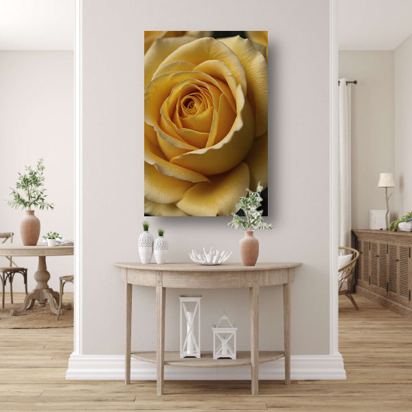 Close-up Gele Roos met Dauwdruppels canvas