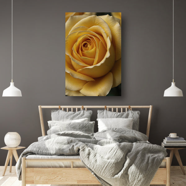 Close-up Gele Roos met Dauwdruppels canvas