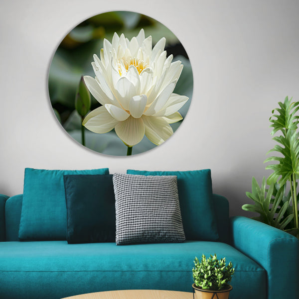 Close-up van een serene witte lotus aluminium muurcirkel