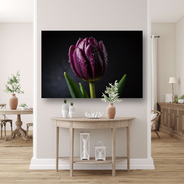 Paarse Tulp in Ochtenddauw Close-up poster