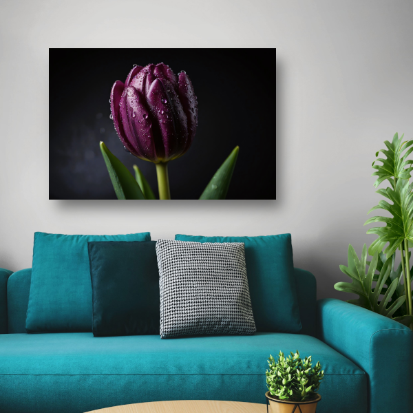 Paarse Tulp in Ochtenddauw Close-up poster