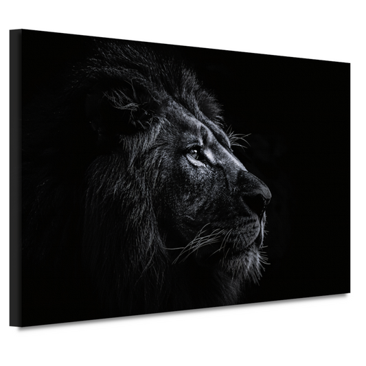 Koninklijke leeuw in zwart-wit portret canvas
