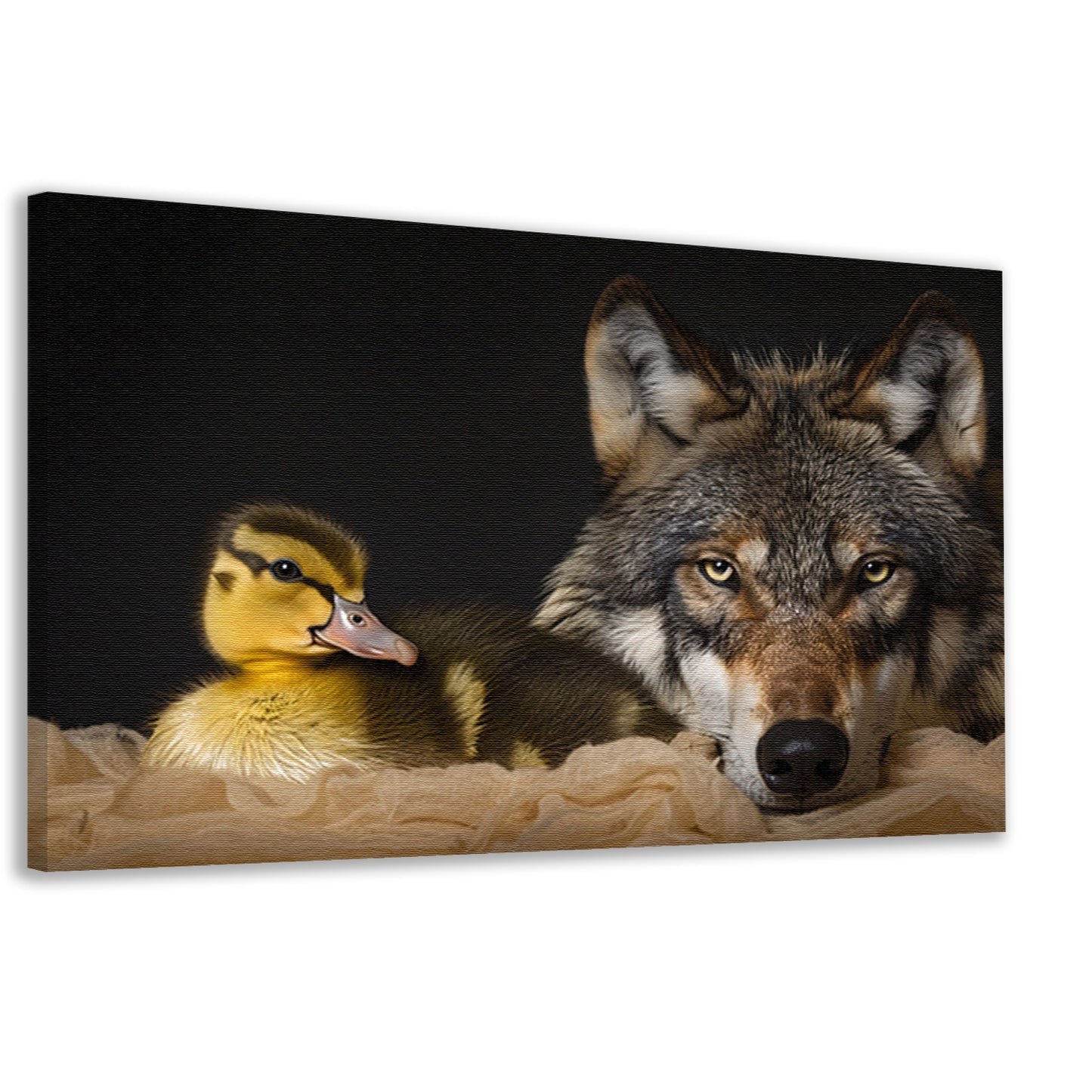 Wolf en eendling: onwaarschijnlijke ontmoeting canvas