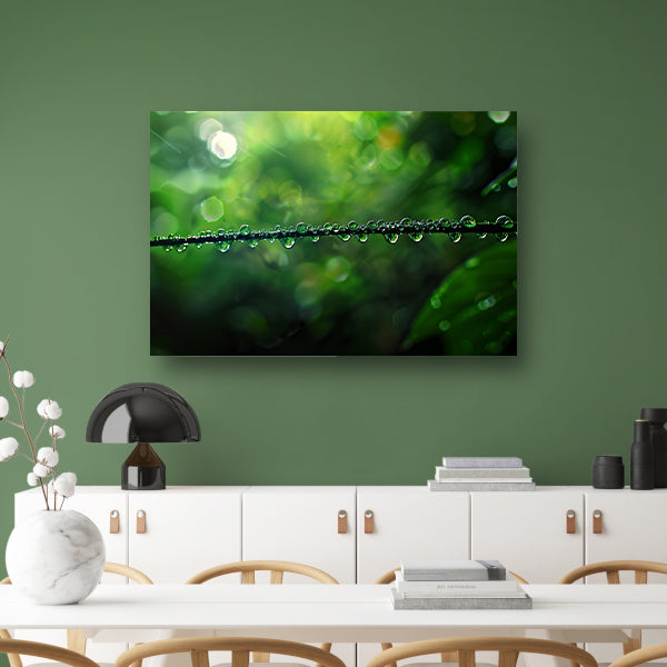 Dauw druppels op tak in groene natuurposter