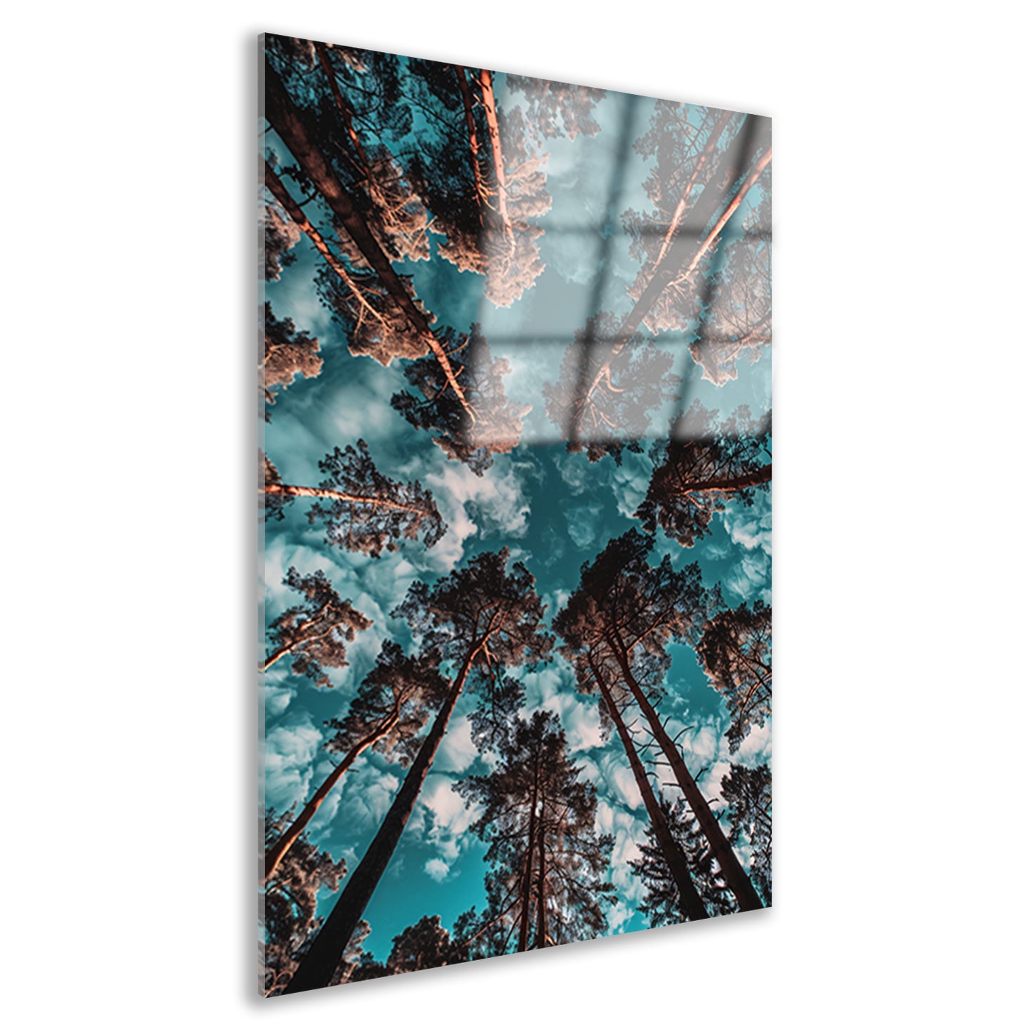 Hyperrealistische foto van bomen en lucht acrylglas
