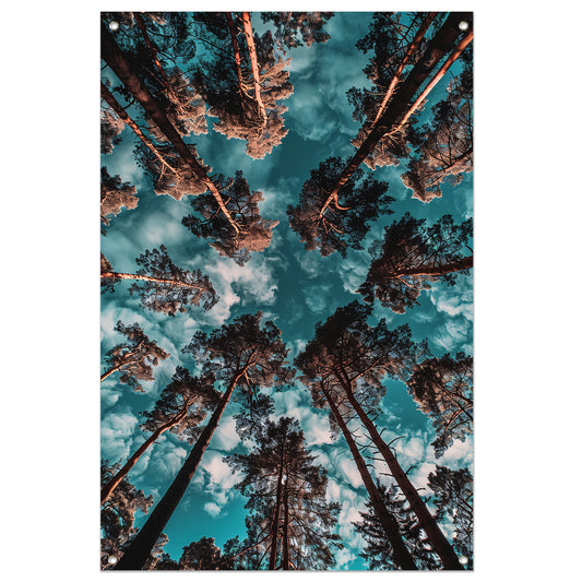 Hyperrealistische foto van bomen en lucht tuinposter