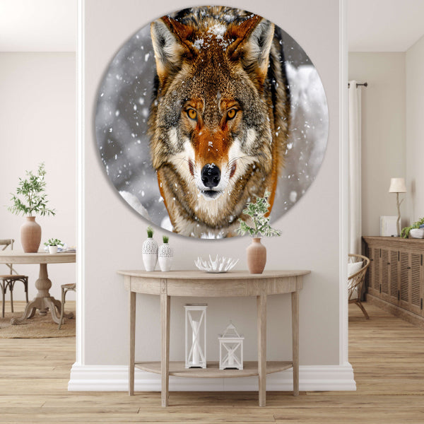 Close-up van een Wolf in de Sneeuw forex muurcirkel