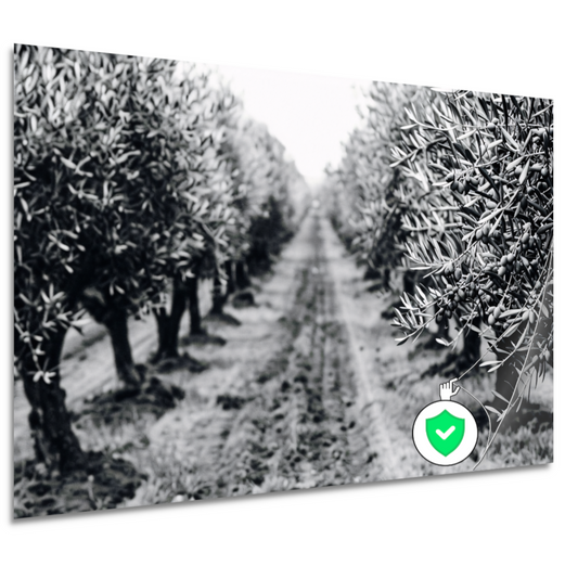 Olijfbomen onder maanlicht poster