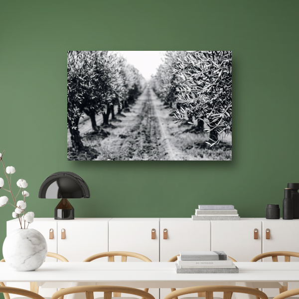 Olijfbomen onder maanlicht canvas met baklijst