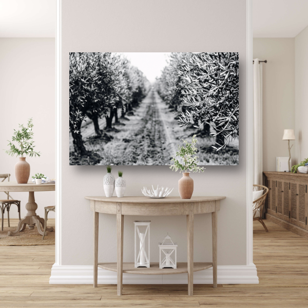 Olijfbomen onder maanlicht canvas met baklijst