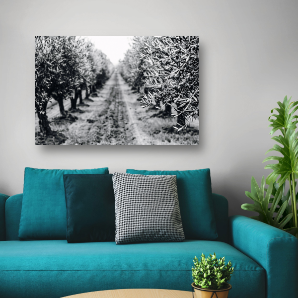 Olijfbomen onder maanlicht canvas met baklijst
