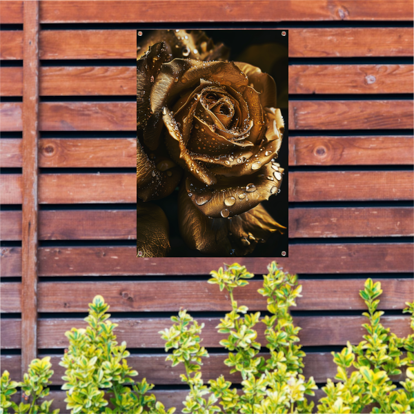 Betoverende gouden roos met ochtenddauw tuinposter