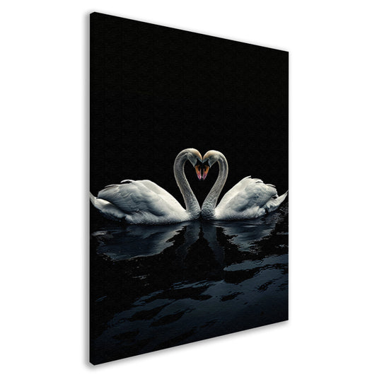 Twee zwanen in donkere reflectie canvas