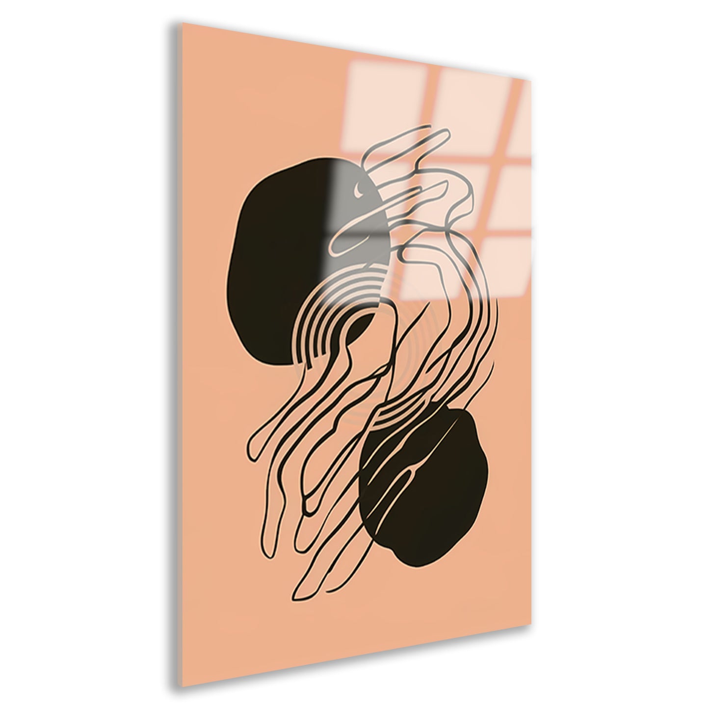 Hypnotiserende Abstracte Monochrome Lijnen acrylglas