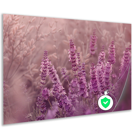 Sereen lavendelveld in zachte pasteltinten poster