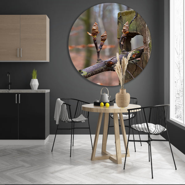 Lenteknoppen op een tak in het bos aluminium muurcirkel