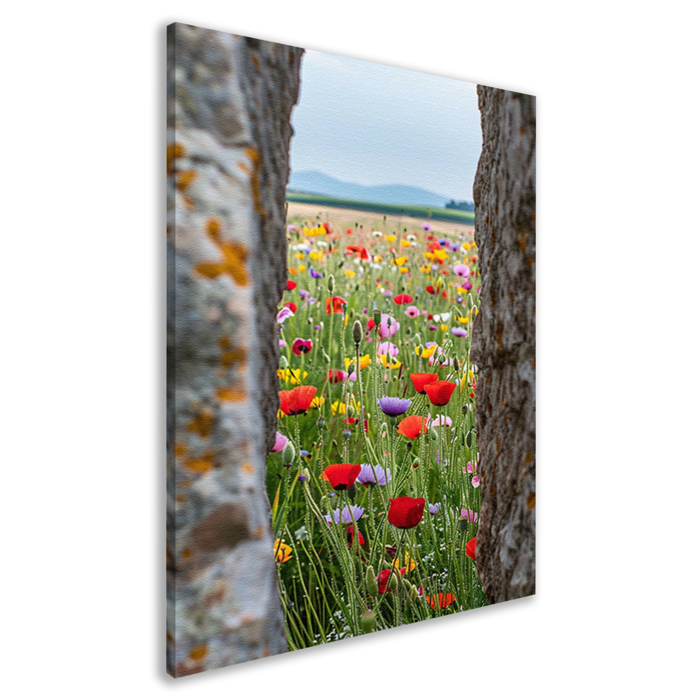 Kleurrijke Bloemenweide tussen Oude Bomen canvas