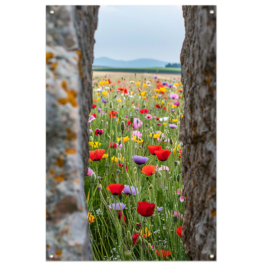 Kleurrijke Bloemenweide tussen Oude Bomen tuinposter