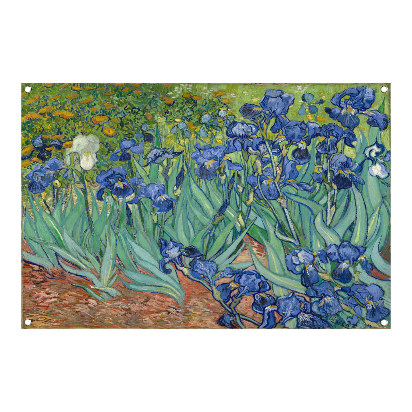 Irissen - Vincent van Gogh tuinposter