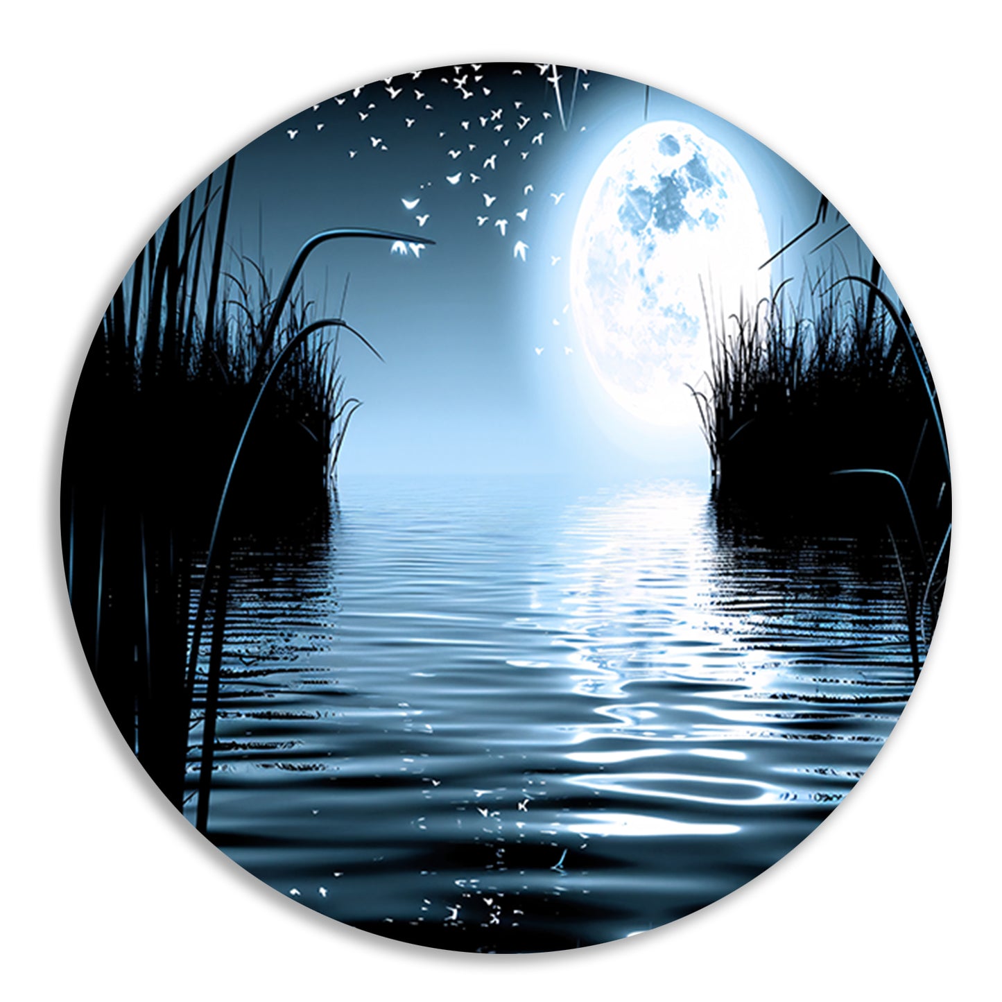 Volle Maan Reflecteert in Water forex muurcirkel