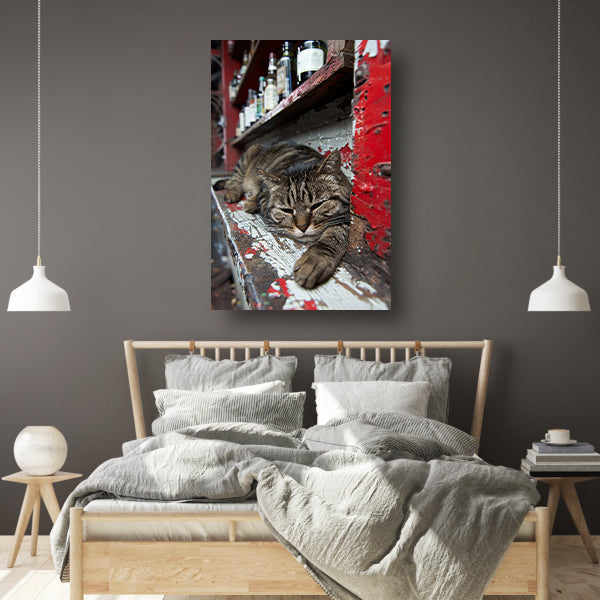 Slapende gestreepte kat op houten toonbank canvas
