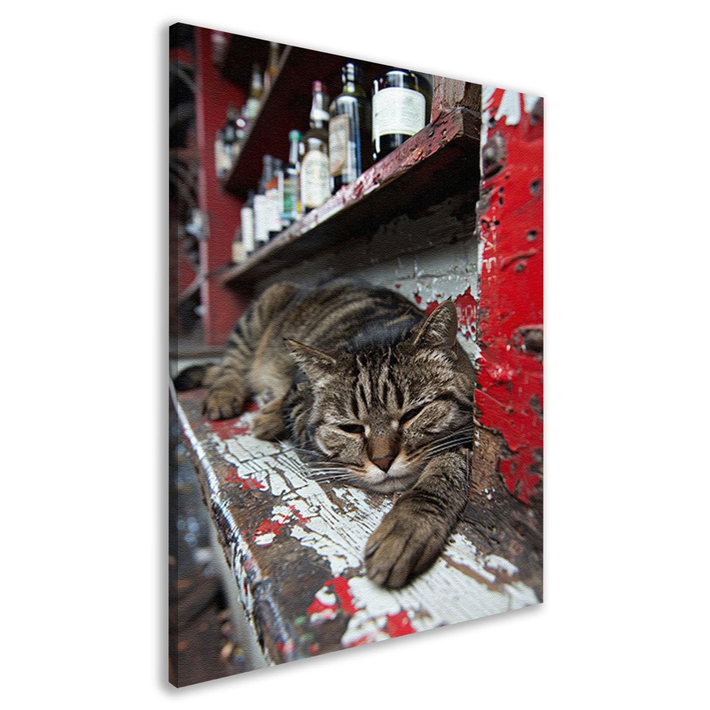 Slapende gestreepte kat op houten toonbank canvas