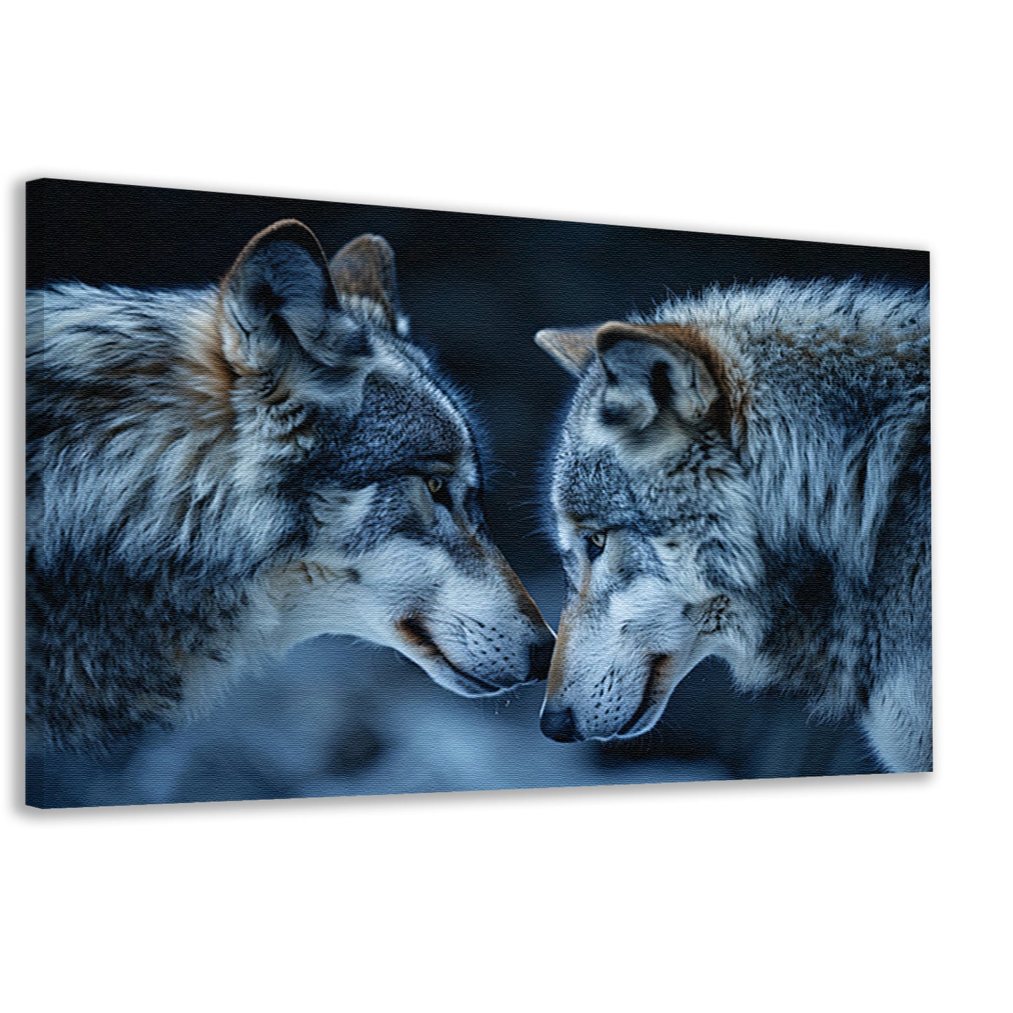 Twee wolven in een donkere omgeving canvas