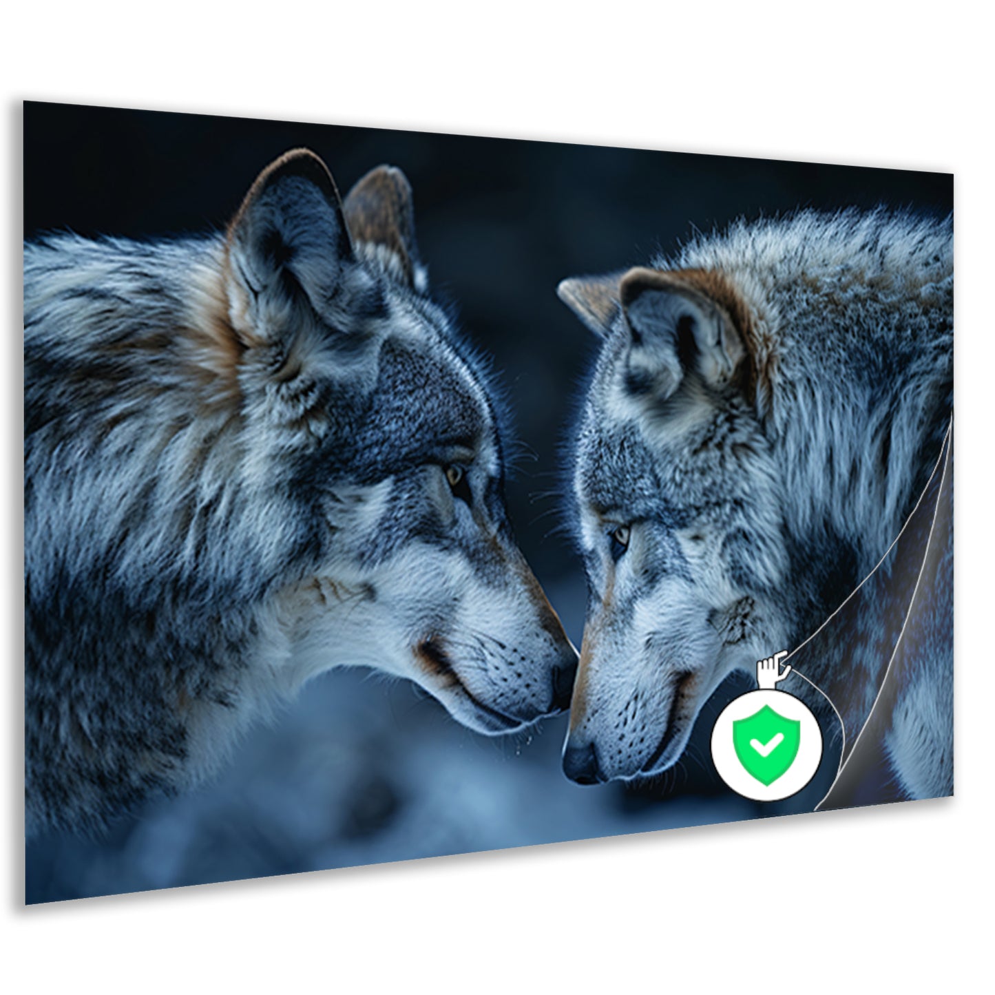 Twee wolven in een donkere omgeving poster