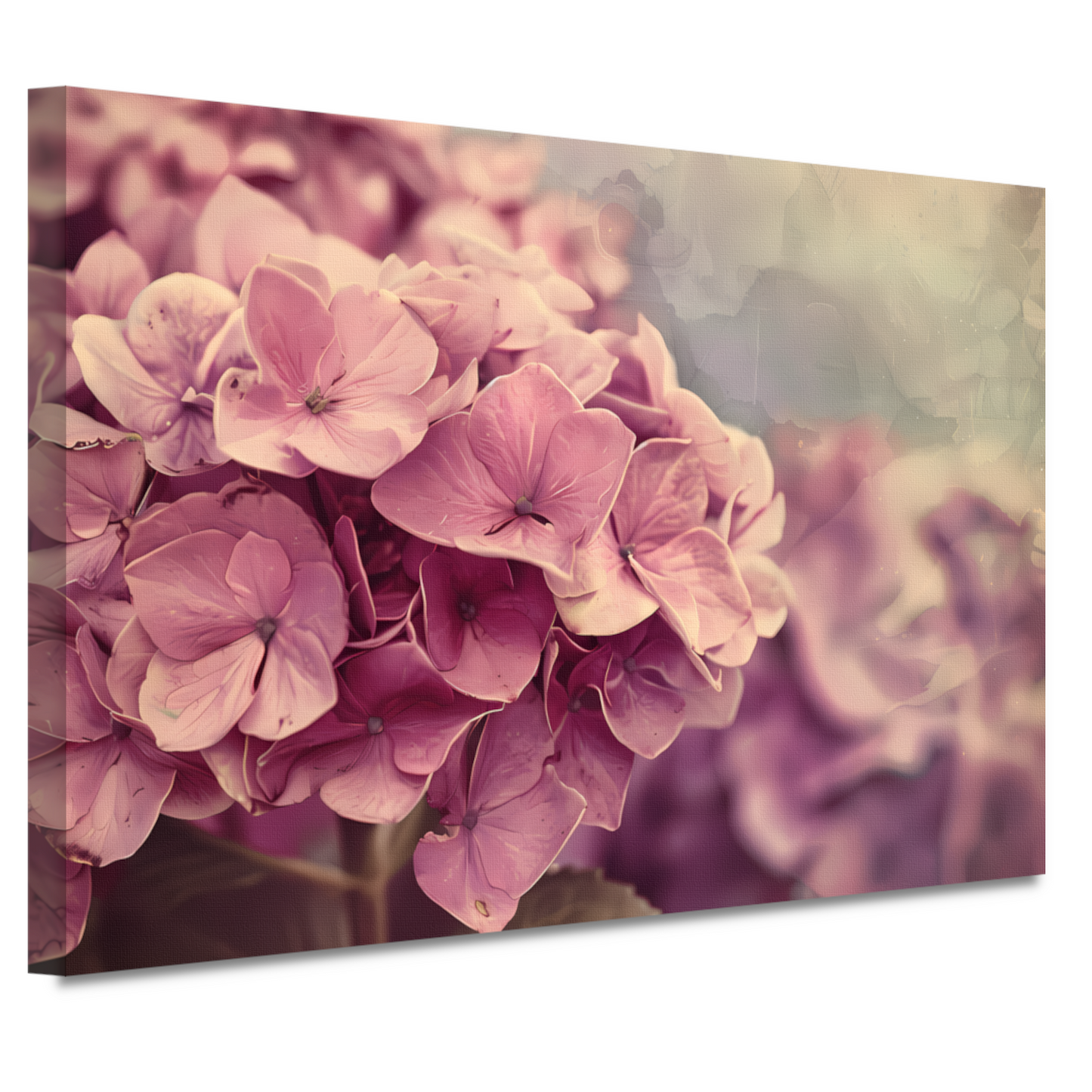 Hortensias in Zacht Roze canvas