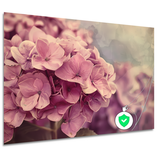 Hortensias in Zacht Roze poster