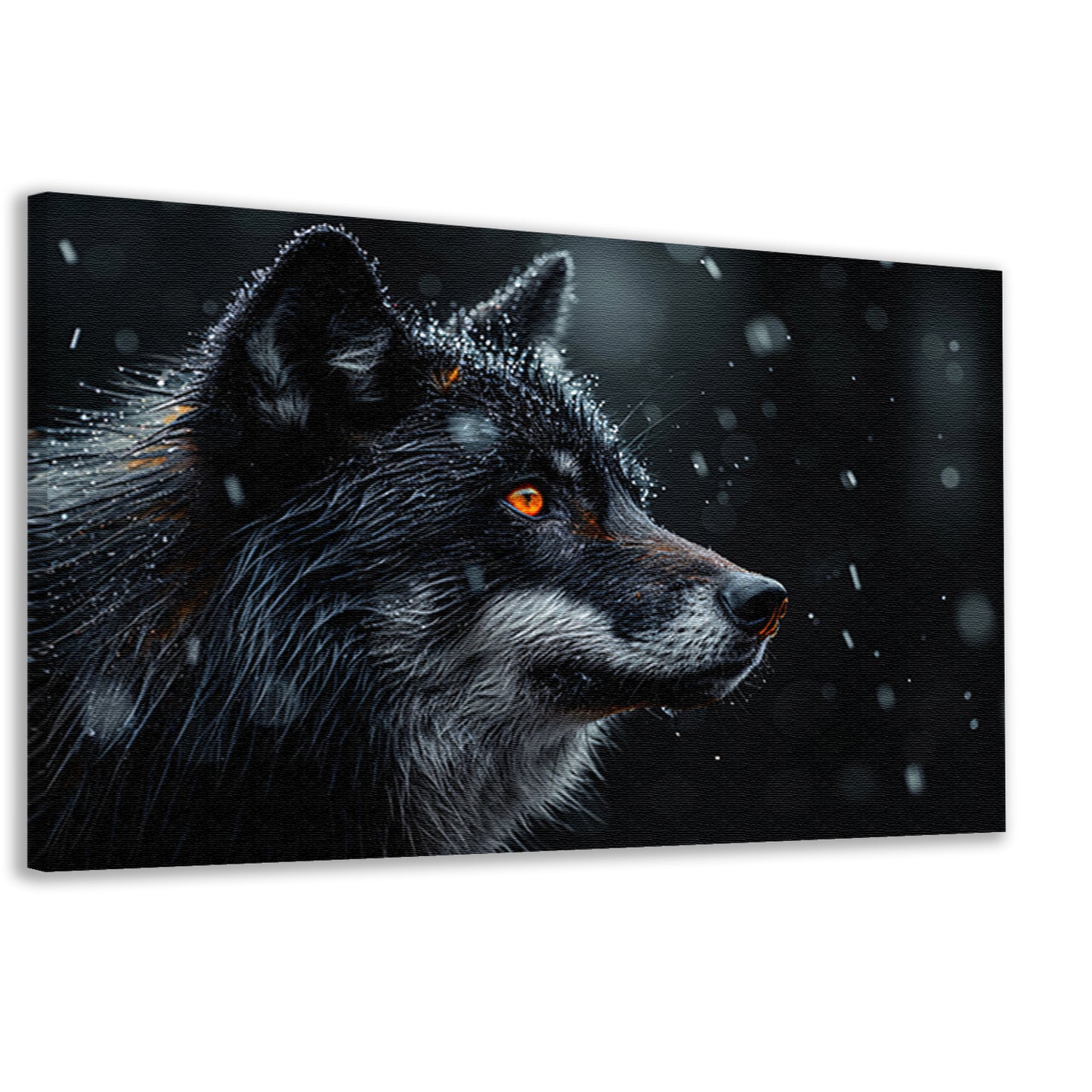 Intense wolvenblik in de sneeuw canvas