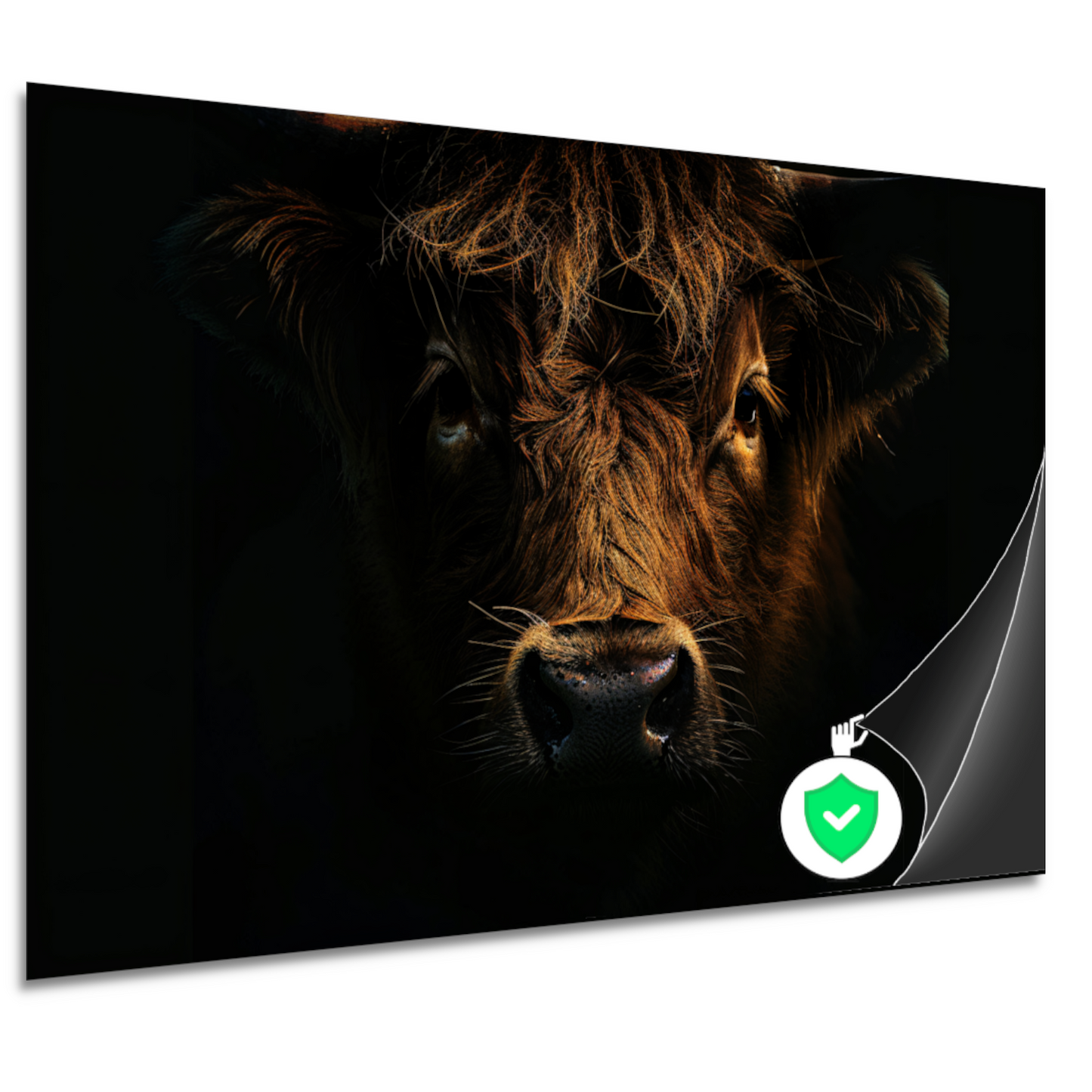 Schotse hooglander in duister lichtspel poster
