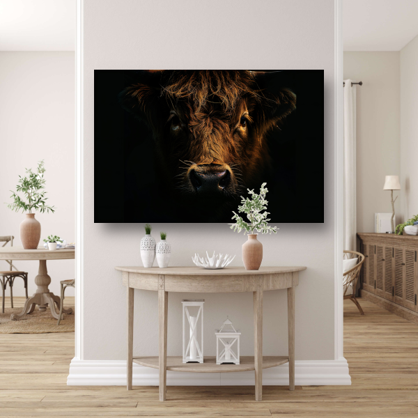 Schotse hooglander in duister lichtspel canvas met baklijst
