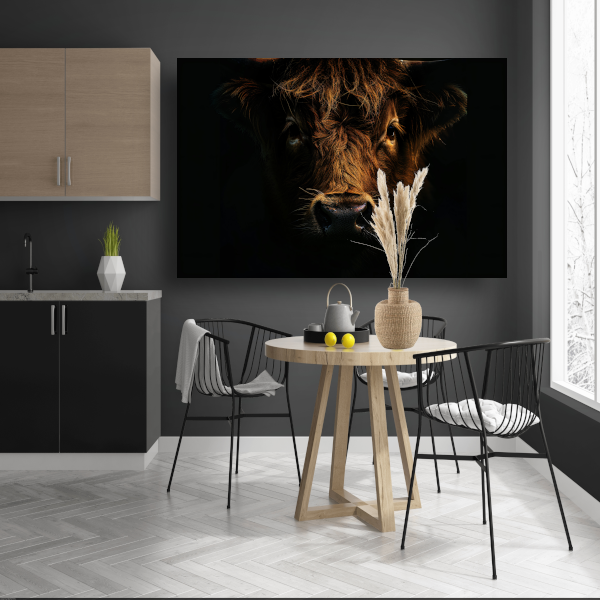 Schotse hooglander in duister lichtspel canvas met baklijst