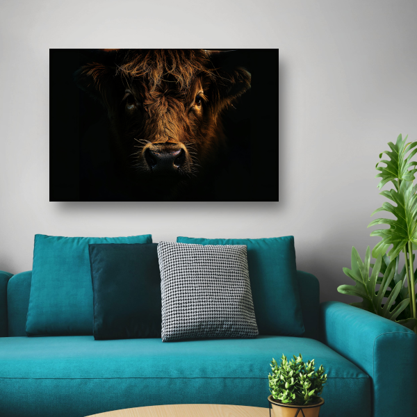 Schotse hooglander in duister lichtspel canvas met baklijst
