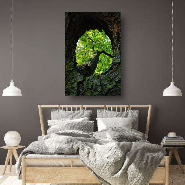 Boom gezien door een gat in de schors acrylglas