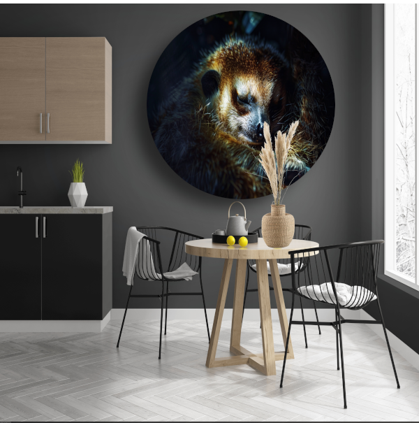 Meerkat rust zacht in het gouden licht aluminium muurcirkel