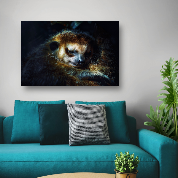 Meerkat rust zacht in het gouden licht canvas