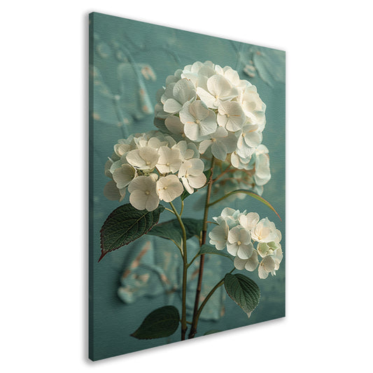 Witte Hortensia Bloemen in Turquoise Vaas canvas