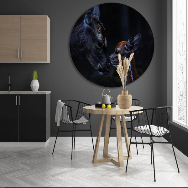 Intiem moment tussen hert en kalf forex muurcirkel