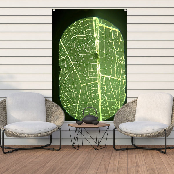 Close-up van Abstracte Bladstructuur tuinposter