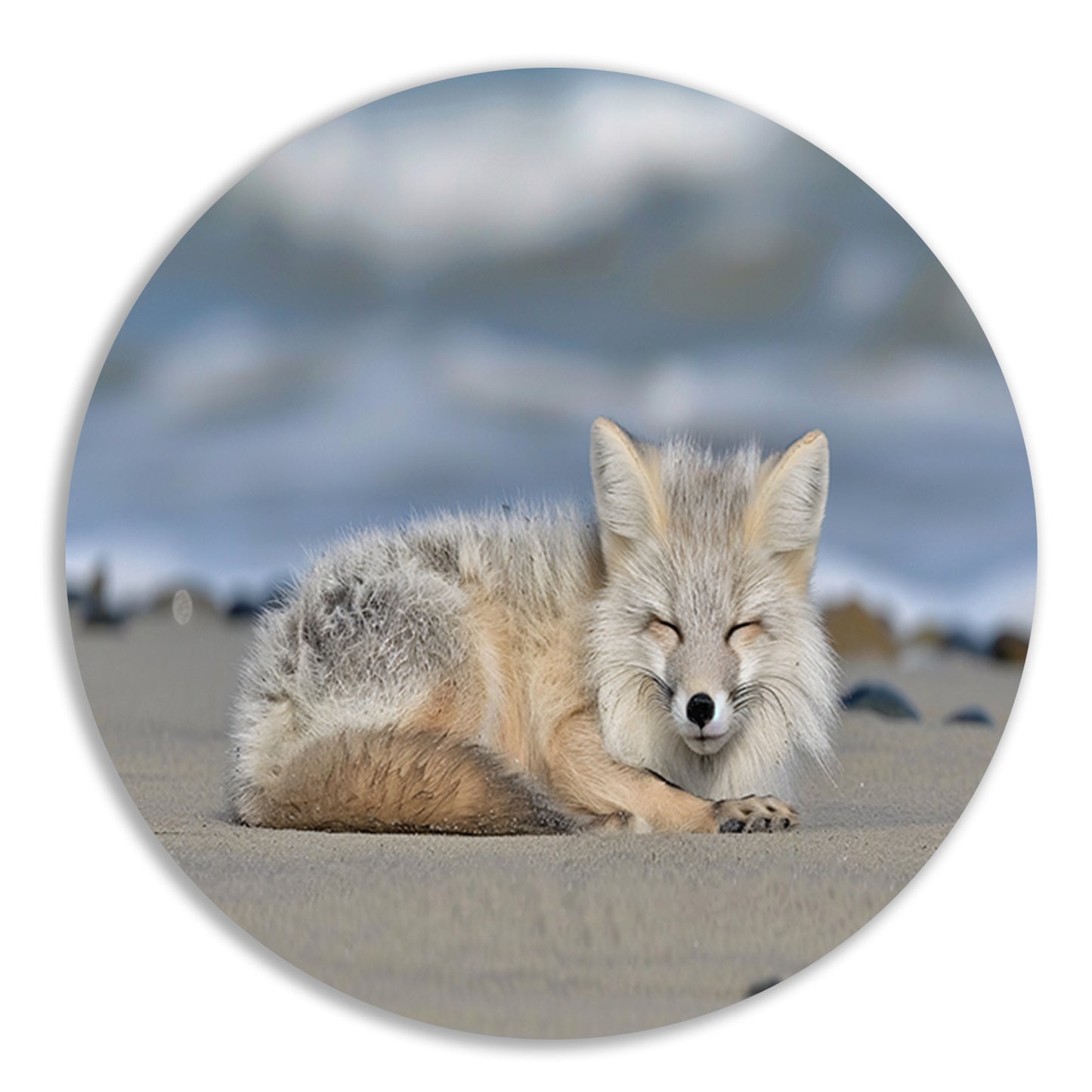 Realistische afbeelding van een vos op het strand aluminium muurcirkel