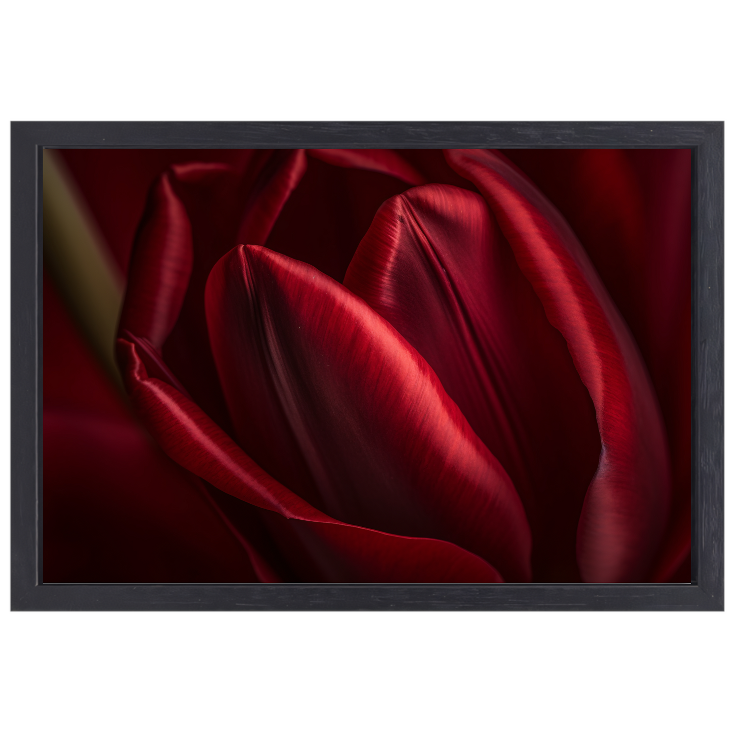 Close-up van rode bloem in donkere achtergrond canvas met baklijst
