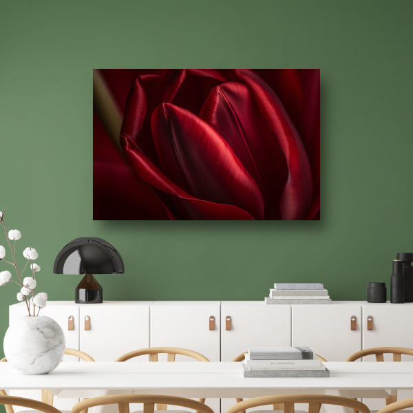 Close-up van rode bloem in donkere achtergrond canvas met baklijst