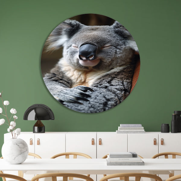Close-up van een slapende koala aluminium muurcirkel