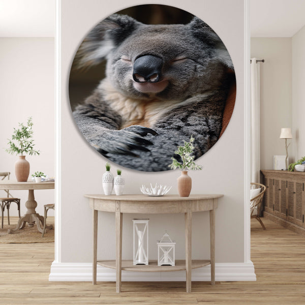 Close-up van een slapende koala aluminium muurcirkel