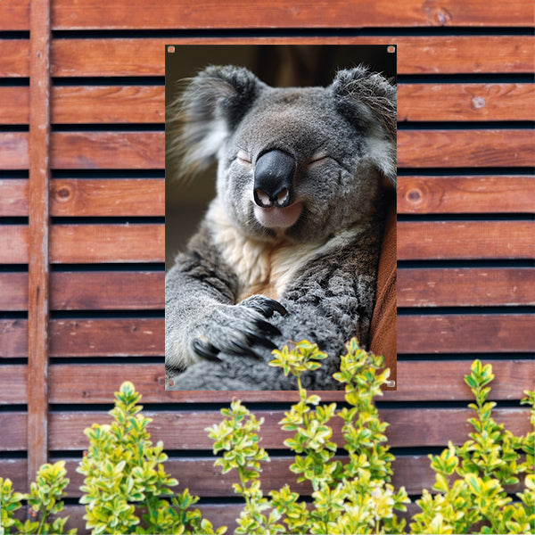 Close-up van een slapende koala tuinposter