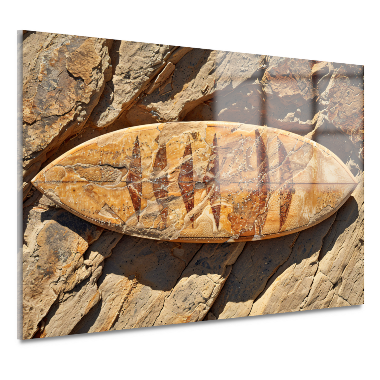 Surfplank op rotsen acrylglas
